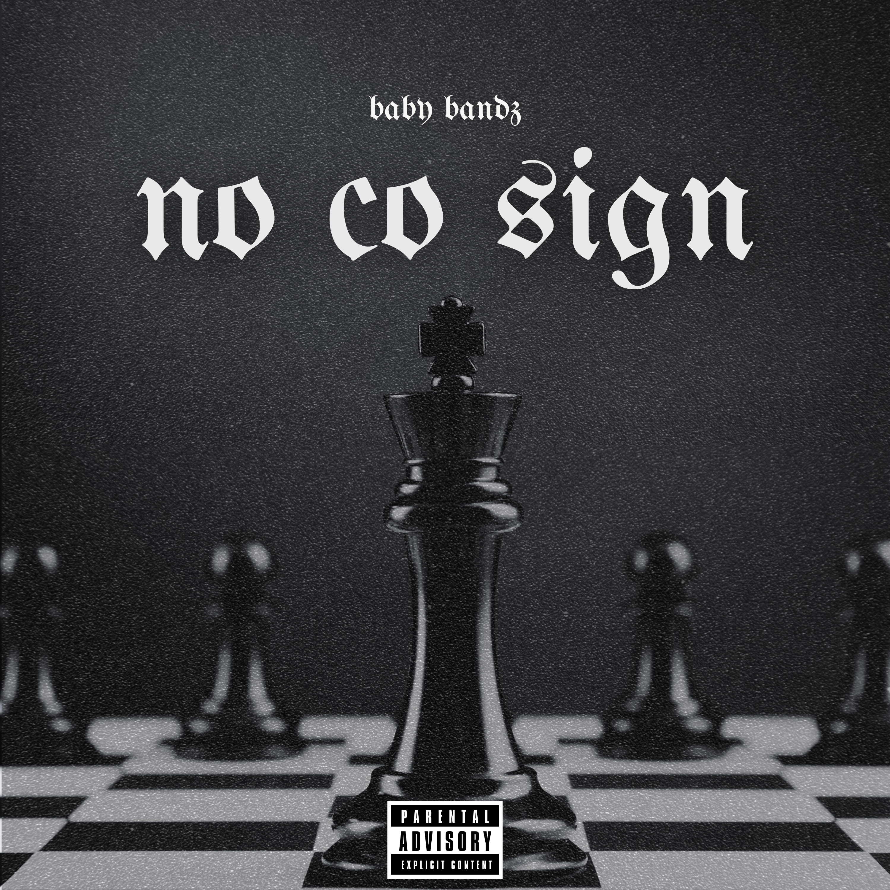 No Co Sign by Baby Bandz